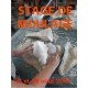 Stage moulage: du 12 avril 2025